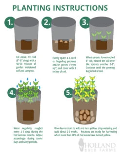 Menu Potato Growing Bag - 3 Pack -Holland Bulb Farms 62129 grow bag 3