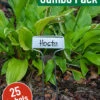 Menu Cap Style Plant Labels Jumbo Pack -Holland Bulb Farms 63103 cap style labels jumbo pack 4