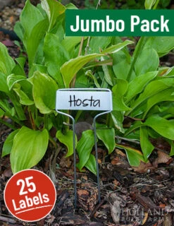 Menu Cap Style Plant Labels Jumbo Pack