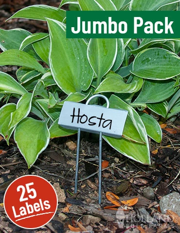 Menu Miniature Plant Labels Jumbo Pack 2 Menu Miniature Plant Labels Jumbo Pack