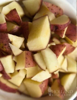 Menu Container/Small Space Vegetable Garden -Holland Bulb Farms 75102 red la soda seed potatoes