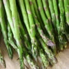Menu Jersey Giant Asparagus Hybrid 2yr -Holland Bulb Farms 75116 jersey giant asparagus