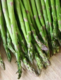 Menu Jersey Giant Asparagus Hybrid 2yr