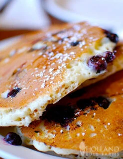 Menu The Berry Patch Collection -Holland Bulb Farms 75120 jersey blueberry plant 2 1