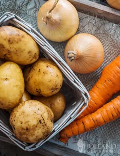 Menu Beginner Vegetable Garden Collection