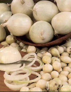 Menu Large Vegetable Garden Collection -Holland Bulb Farms 75133 large vegetable garden 7