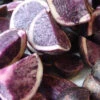 Menu All Blue Seed Potatoes -Holland Bulb Farms 75143 all blue seed potatoes