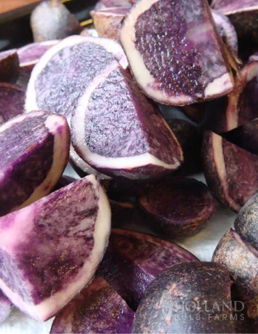 Menu All Blue Seed Potatoes 3 Menu All Blue Seed Potatoes