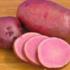Menu Adirondack Red Potato -Holland Bulb Farms 75153 adirondack red potato