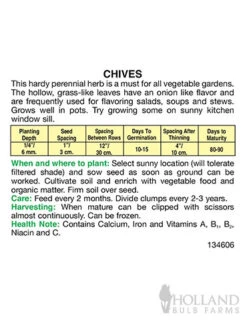 Menu Container/Small Space Vegetable Garden -Holland Bulb Farms 75506 chives back