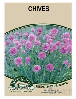 Menu Container/Small Space Vegetable Garden -Holland Bulb Farms 75506 chives front