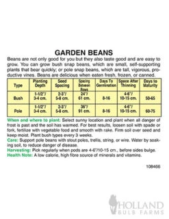 Menu Beginner Vegetable Garden Collection -Holland Bulb Farms 75513 white half runner beans back