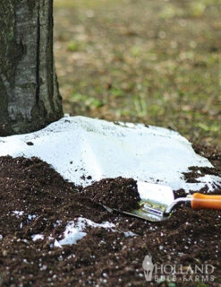 Menu Sun And Shade Tree Ring Seed Mat Collection -Holland Bulb Farms 75700 sunny tree ring 2