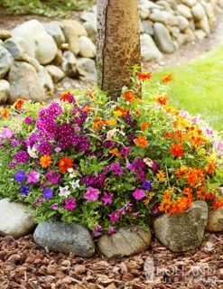 Menu Sun And Shade Tree Ring Seed Mat Collection -Holland Bulb Farms 75700 sunny tree ring