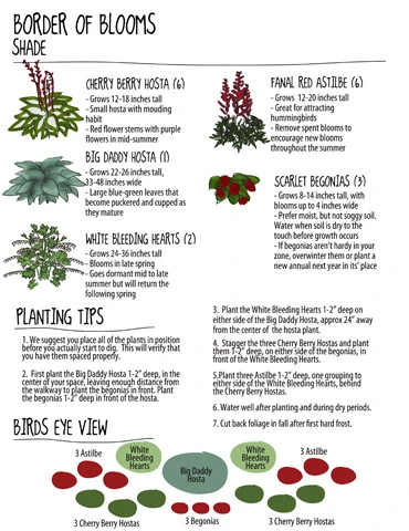 Menu Border Of Blooms For Shade Collection 4 Menu Border Of Blooms For Shade Collection - Image 2