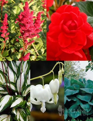 Menu Border Of Blooms For Shade Collection 3 Menu Border Of Blooms For Shade Collection