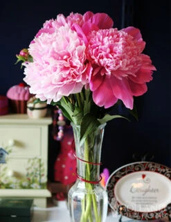 Menu Peony Collection -Holland Bulb Farms 77477 sarah bernhardt peony 3 3