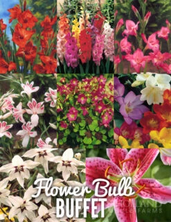 Menu Spring Wedding Flower Bulb Buffet