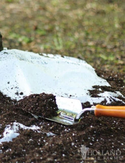 Menu Butterfly And Bee Seed Mat Collection -Holland Bulb Farms 79208 butterfly and bee seed mat duo 2