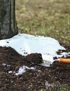 Menu Sun And Shade Tree Ring Seed Mat Collection -Holland Bulb Farms 79210 sunny tree ring garden shady tree ring garden 2