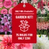 Menu All Summer Blooming Garden Kit