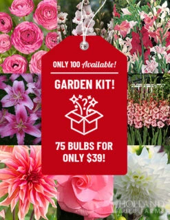 Menu All Summer Blooming Garden Kit