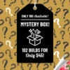 Menu Mega Mystery Mixed Summer Box -Holland Bulb Farms 79243 mystery box 24