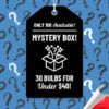 Menu Exclusive Shady Mystery Box -Holland Bulb Farms 79248 shade mystery box