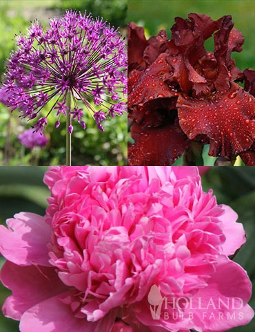 Menu Simple Late Spring Collection 3 Menu Simple Late Spring Collection