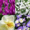 Menu Late Spring Blooms Collection -Holland Bulb Farms 89228 late spring blooms collection