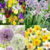 Menu Simple Deer Resistant Garden Collection -Holland Bulb Farms 89506 simple deer resistant collection