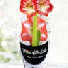 Menu Minerva Potted Amaryllis - Gift Ready