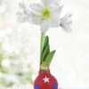 Menu Festive Parade Waxed Amaryllis -Holland Bulb Farms 92436 festive parade waxed amaryllis