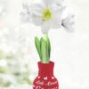 Menu Love Endures Sweater Amaryllis -Holland Bulb Farms 92446 let love grow