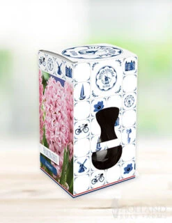 Menu Hyacinth Forcing Kit Collection -Holland Bulb Farms 93107 fondant hyacinth