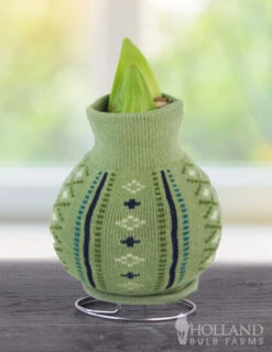 Menu Warm Wishes Sweater Amaryllis Collection -Holland Bulb Farms Cardigan 370 480 bulbs logo 1