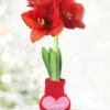 Menu Loving Heart Sweater Amaryllis -Holland Bulb Farms Love 370 480 full grown logo