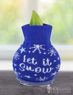 Menu Tis The Season Sweater Amaryllis Collection -Holland Bulb Farms Snow 370 480 bulbs logo 1