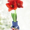 Menu Frosty And Friends Sweater Amaryllis -Holland Bulb Farms Snowman 370 480 full grown logo
