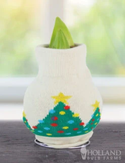Menu Deck The Halls Sweater Amaryllis Collection 13 Menu Deck The Halls Sweater Amaryllis Collection -Holland Bulb Farms christmas tree 370 480 bulbs logo